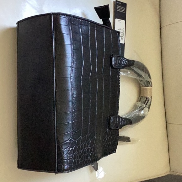 Tattler - Picture 4 of 4